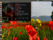 Unity Ubuntu LowGraphicsMode